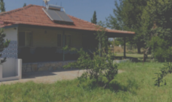 Bahçeli Bir Evde Oturuyorsanız, Bu Kapılar Tam Size Göre!